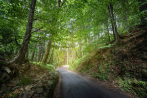 self-actualisation is a journey