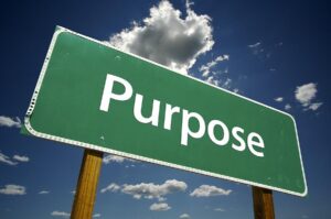 Purpose-driven
